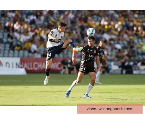 足球直播jrs平台打造高清赛事实时观看与深度数据解析体验